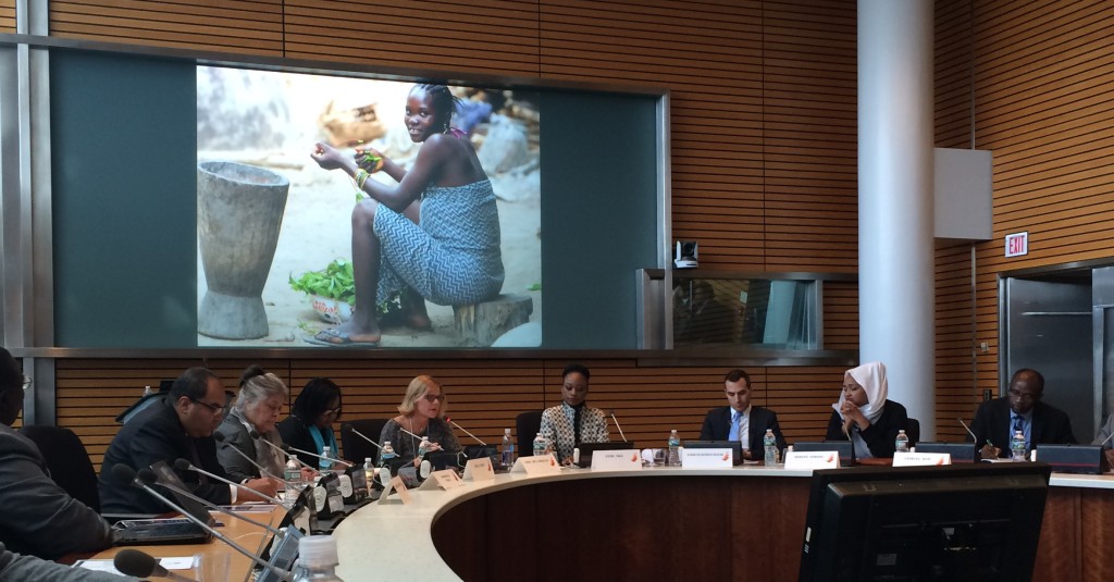 Professor McCandless (5th from right) presents at The World Bank's Fragility Forum panel "Safeguarding Inclusivity and the Role of Civil Society in Conflict Affected States"